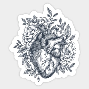 Human heart - Floral anatomical heart Sticker